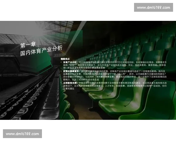 全球顶级职业体育赛事发展现状与未来趋势及商业价值文化影响解析