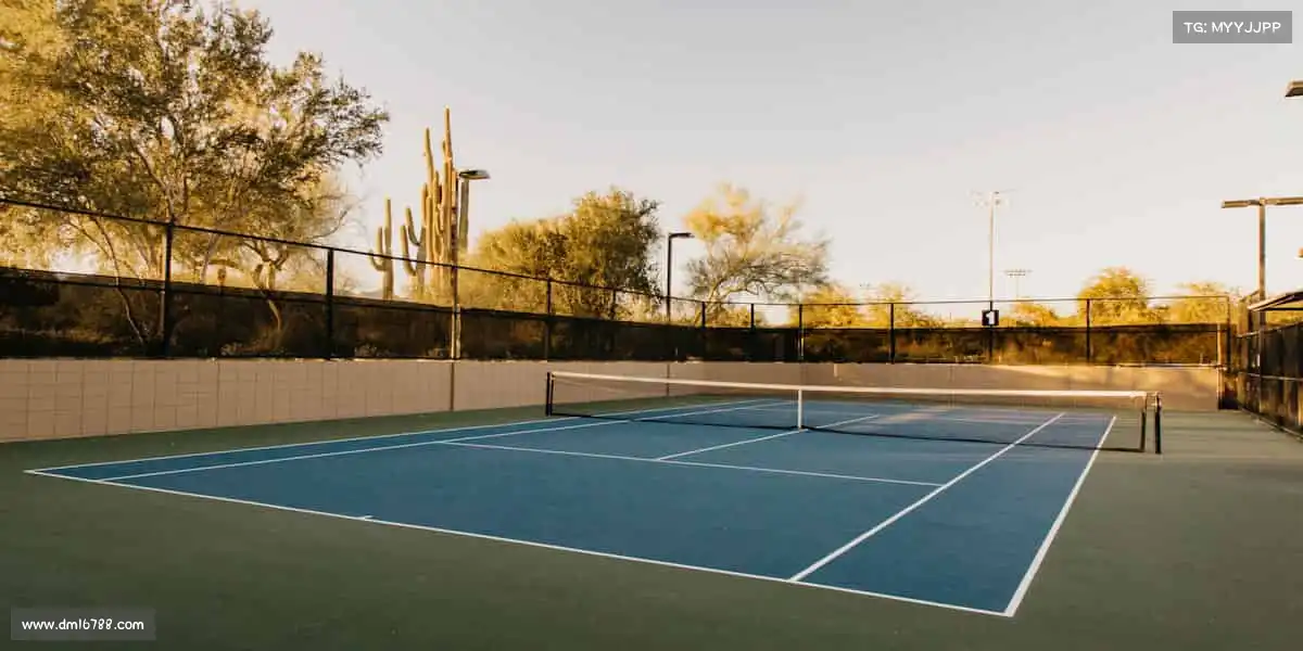 行业领先的理由